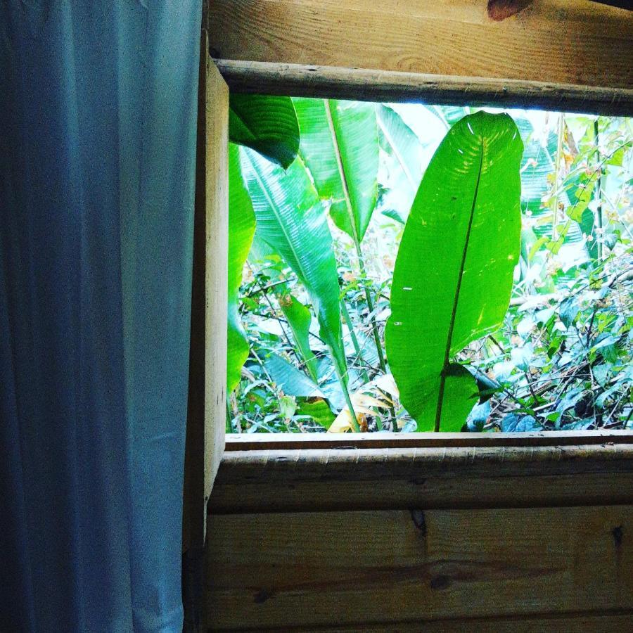 Casa Ranxoxita Hotel Itaipava Eksteriør billede