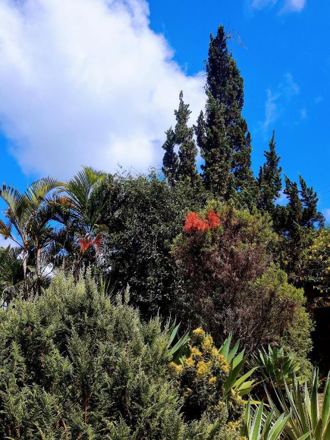 Casa Ranxoxita Hotel Itaipava Eksteriør billede