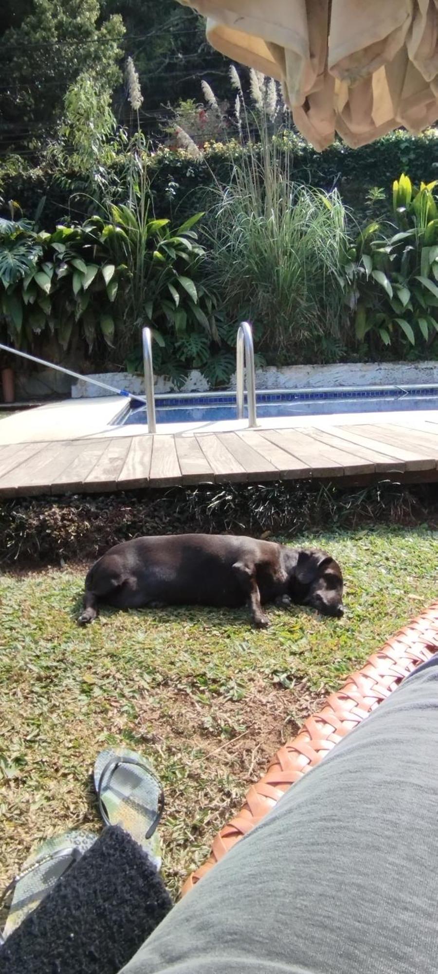 Casa Ranxoxita Hotel Itaipava Eksteriør billede